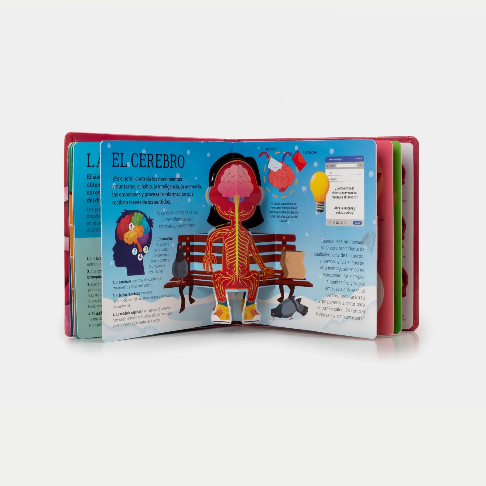 Libro Cuerpo Humano "Pop-Up" image 1