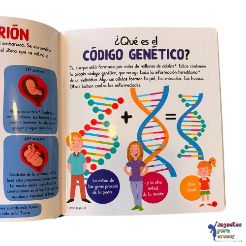 Mi Pequepedia del Cuerpo Humano