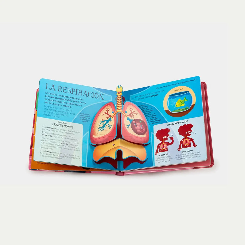 Libro Cuerpo Humano "Pop-Up" image 2