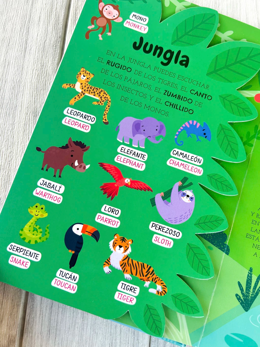 Libro “Así suenan los animales” - Bilingüe image 7