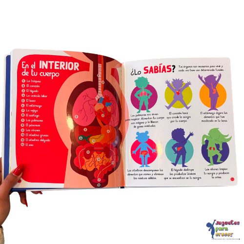 Mi Pequepedia del Cuerpo Humano