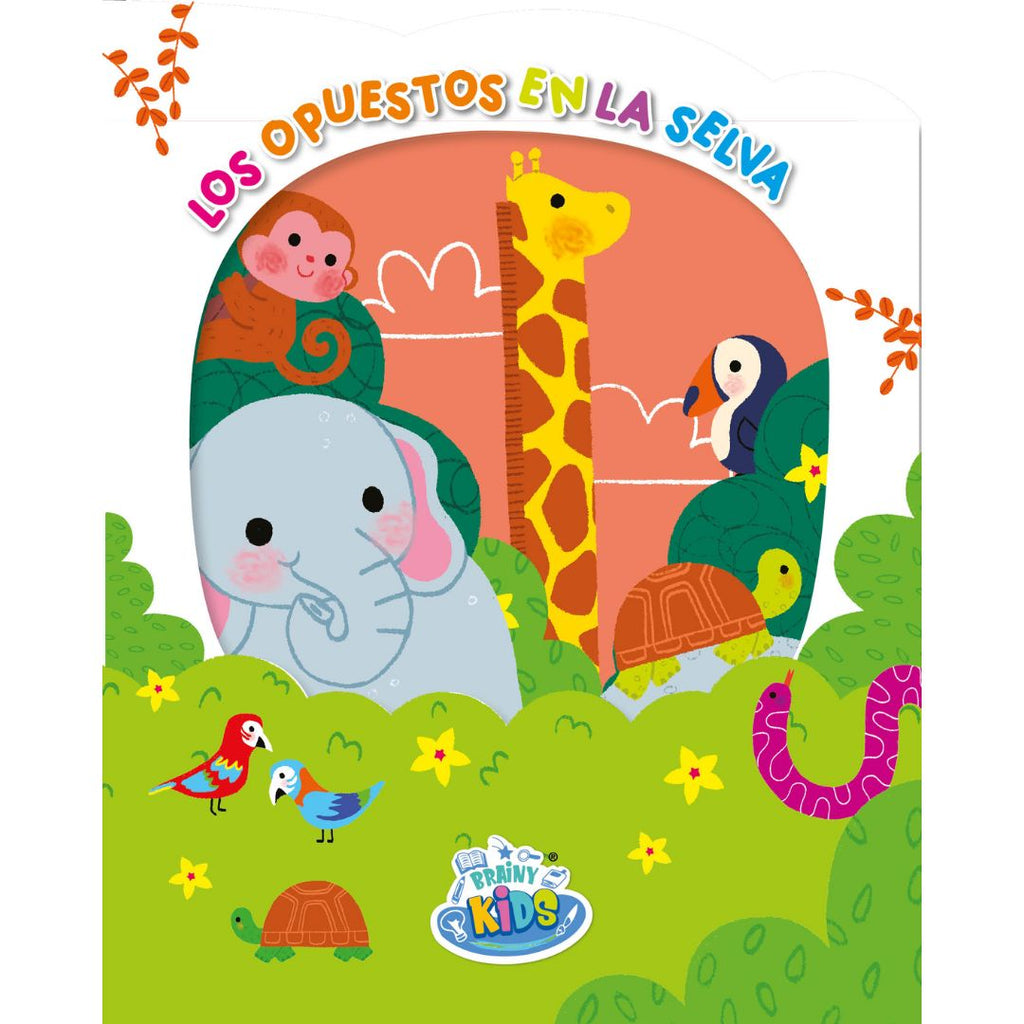Colección "Miro por mi ventana" – Pack de 4 libros interactivos image 5