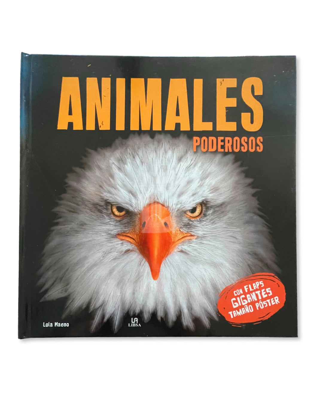 Libro Mundo Asombroso con flaps gigantes