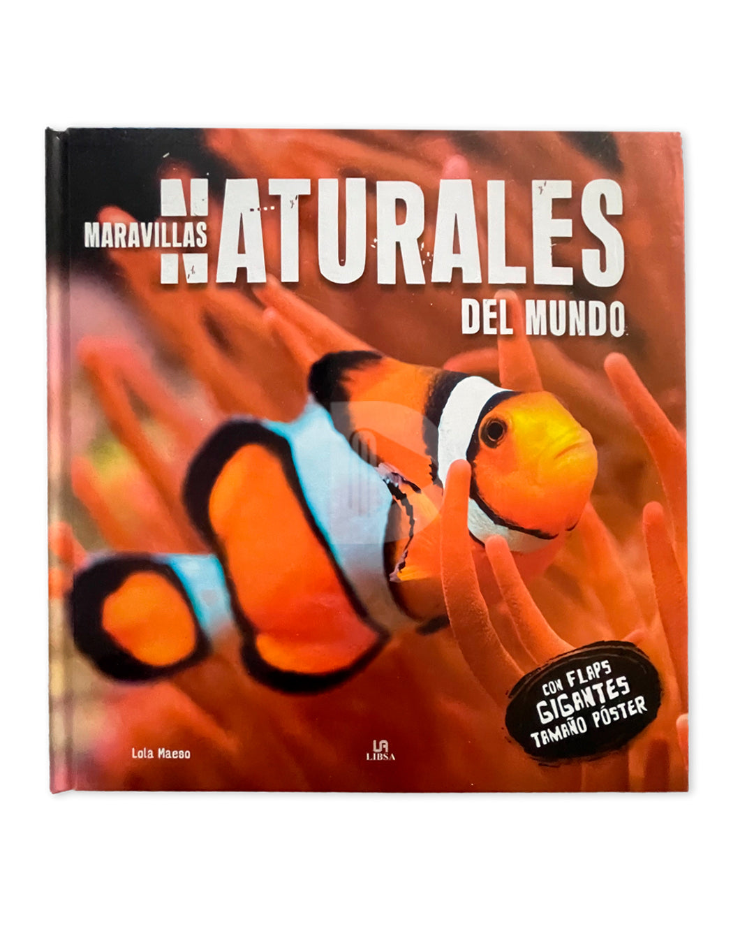 Libro Mundo Asombroso con flaps gigantes