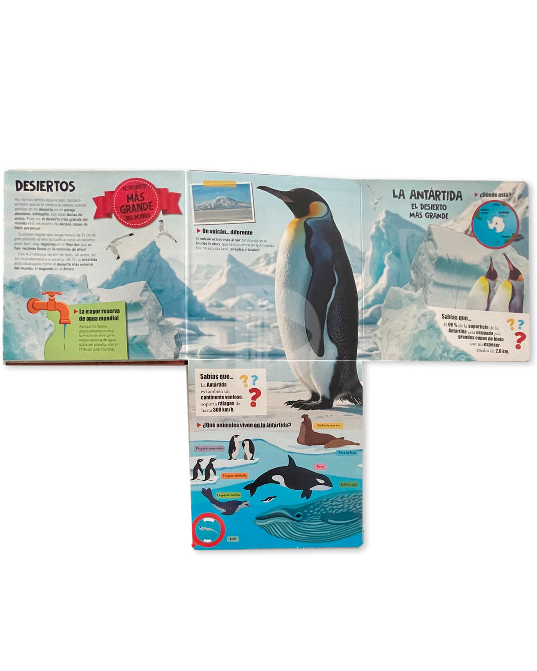 Libro Mundo Asombroso con flaps gigantes