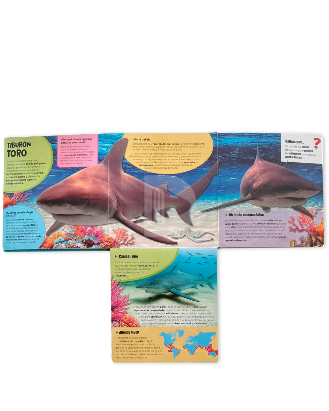 Libro Mundo Asombroso con flaps gigantes