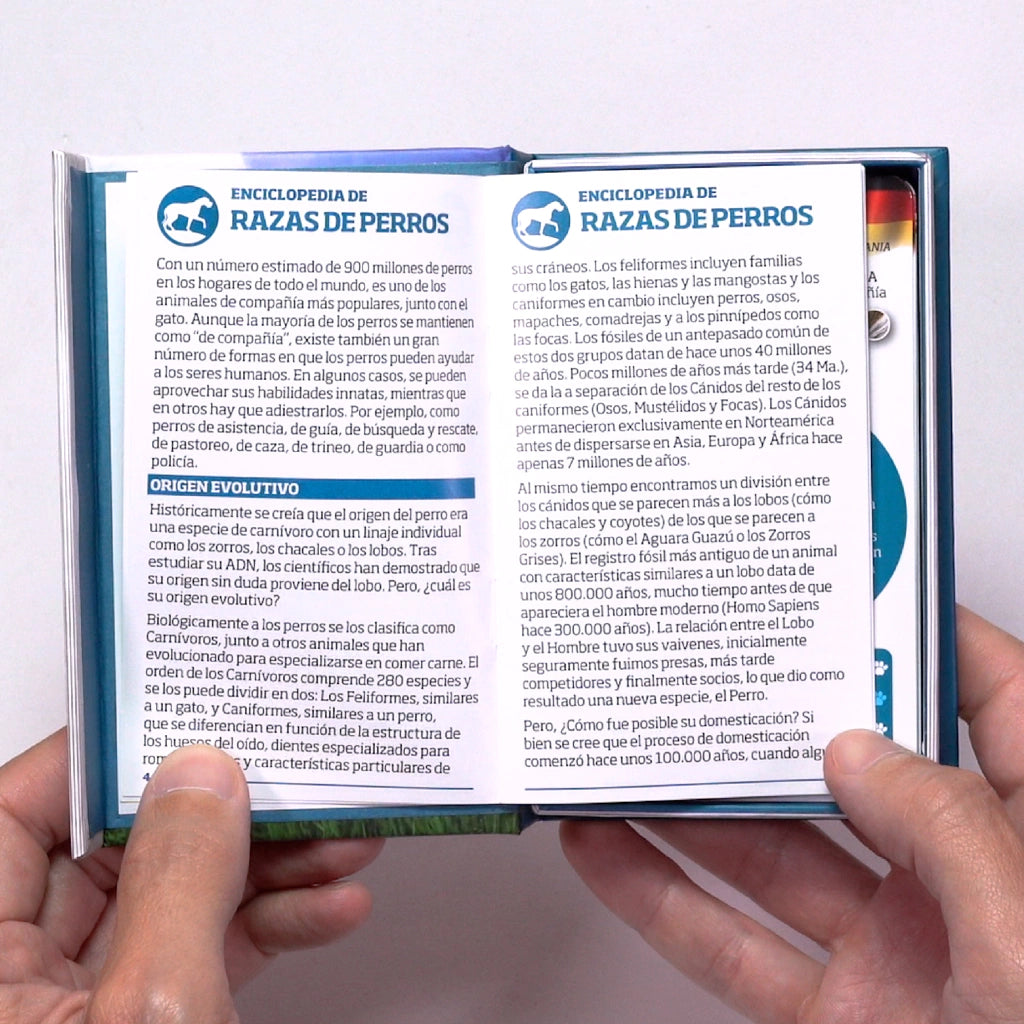 Enciclopedia Luminias – Razas de Perros