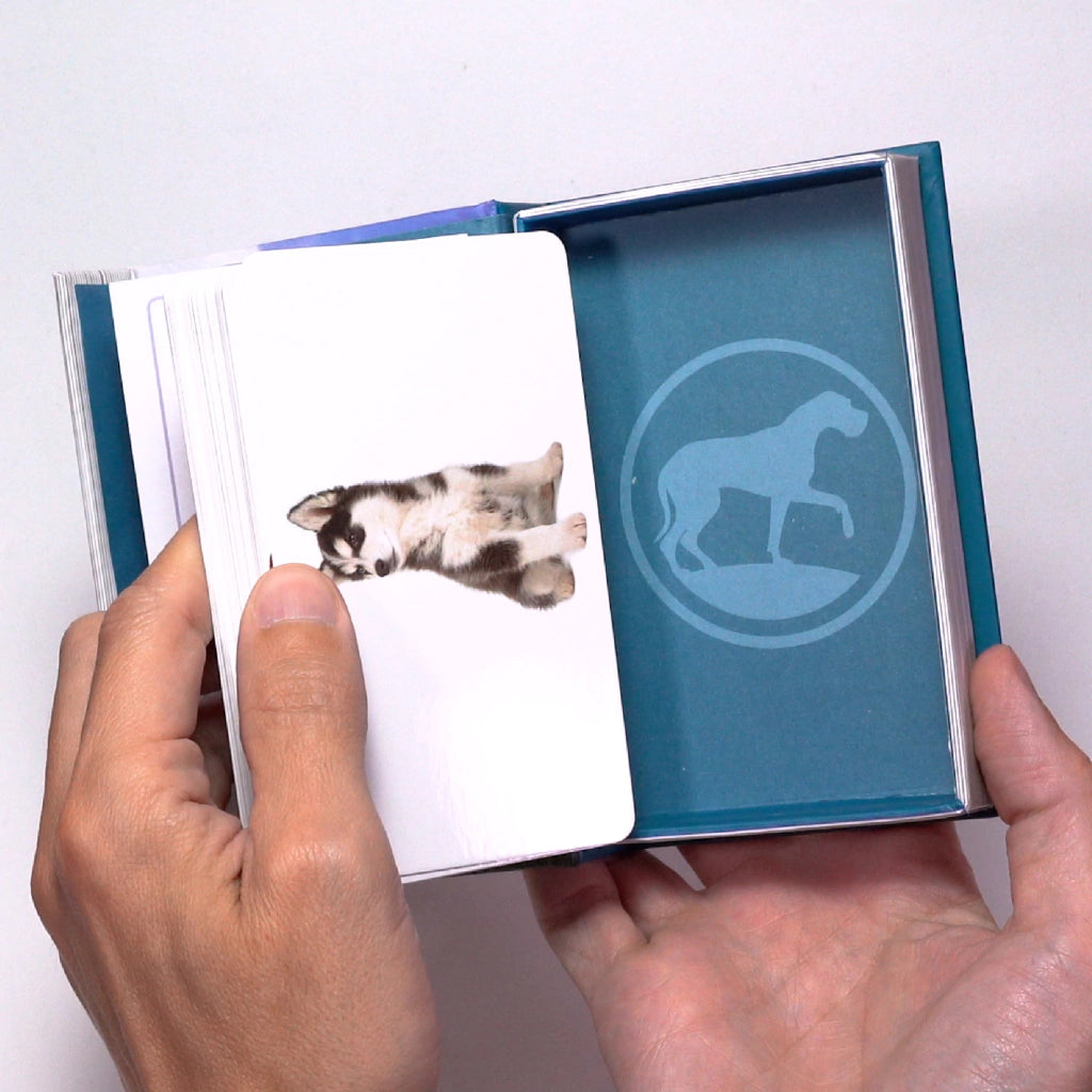Enciclopedia Luminias – Razas de Perros