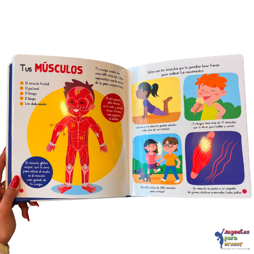 Mi Pequepedia del Cuerpo Humano