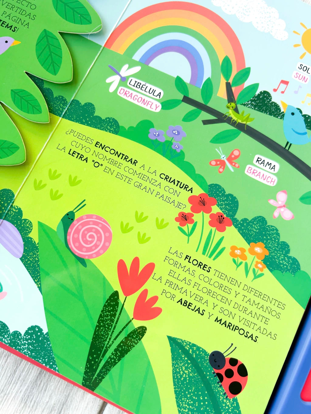 Libro “Así Suena Mi Mundo” - Bilingüe image 8