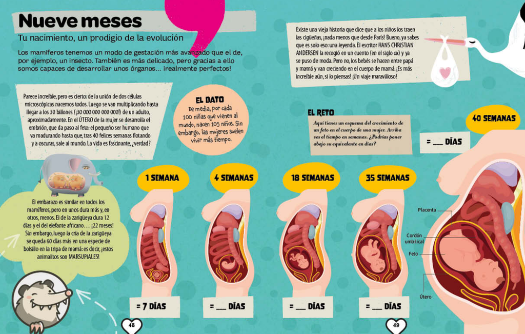 EXPLORA EL CUERPO HUMANO image 3