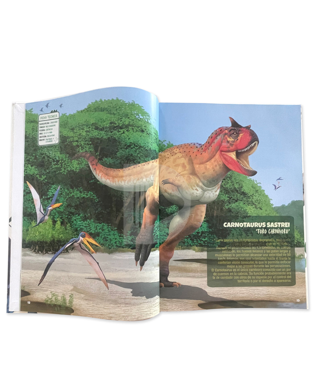 Un Safari Prehistórico al Mundo de los Dinosaurios image 3