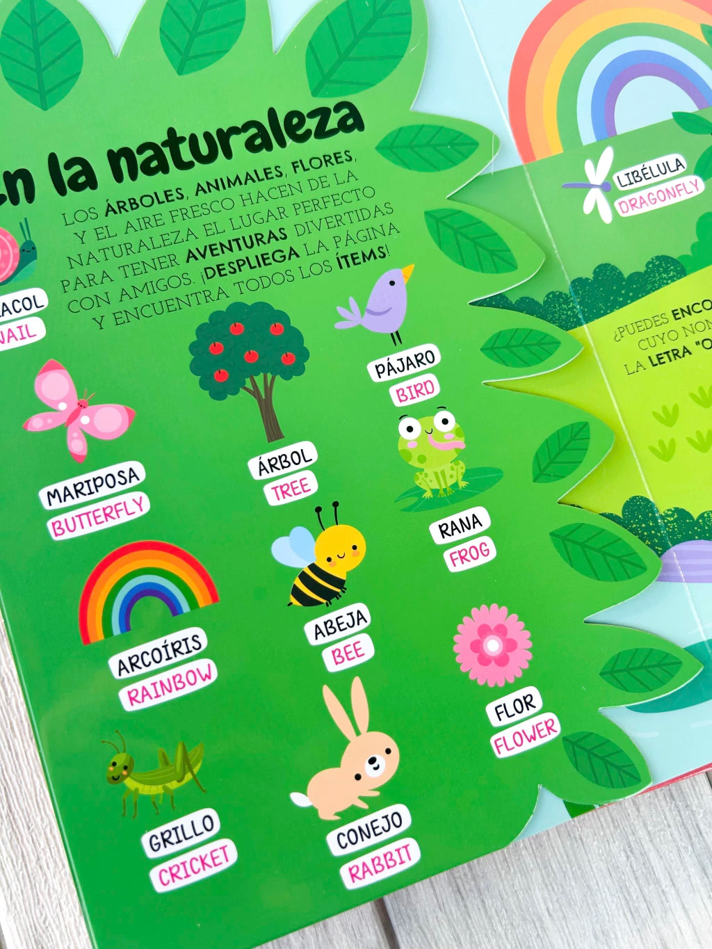 Libro “Así Suena Mi Mundo” - Bilingüe image 7