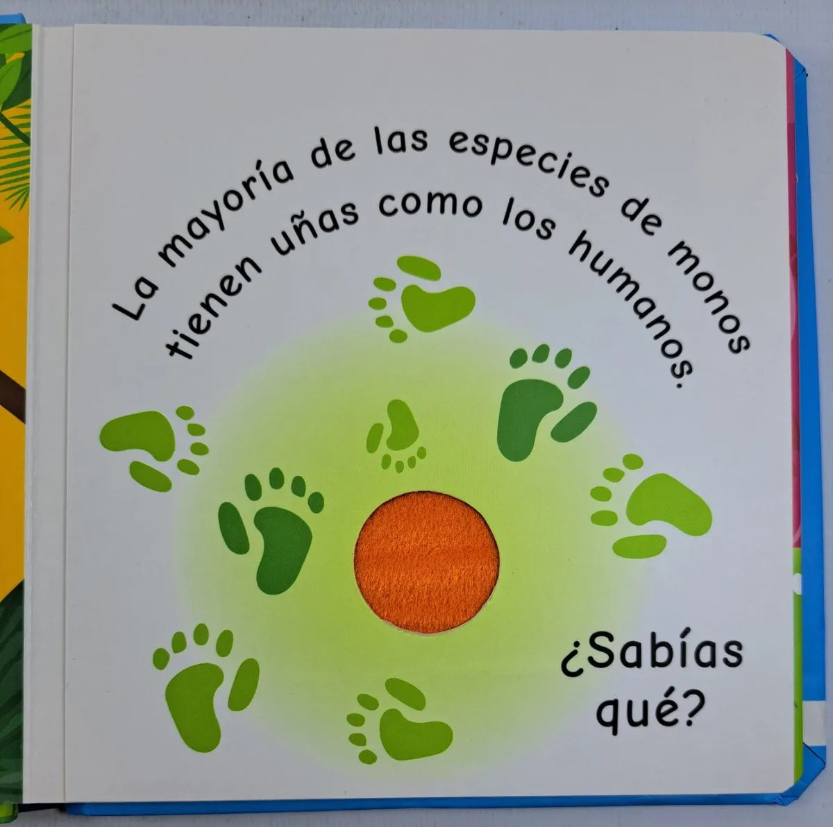 En la Jungla – ¡Tócame!