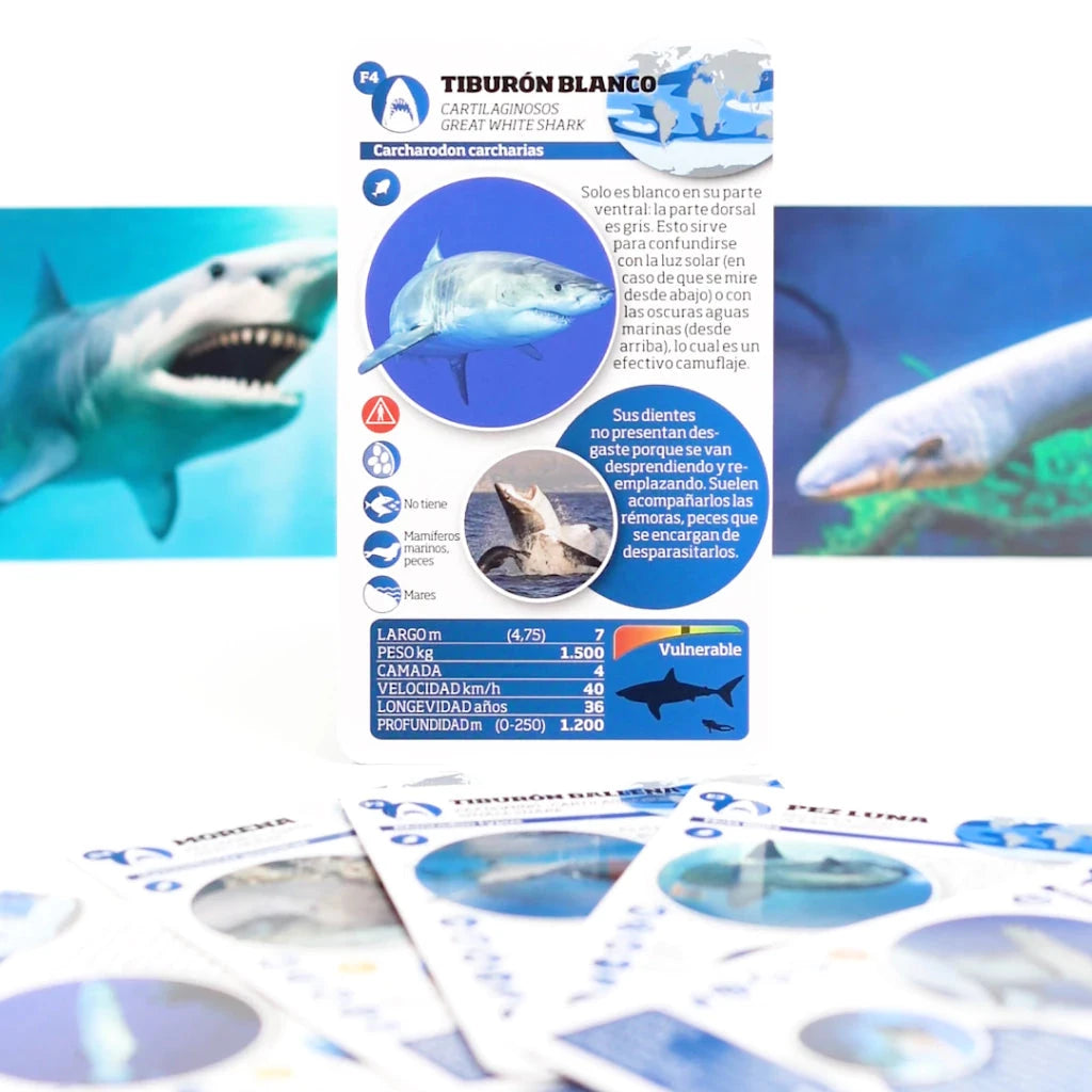 Enciclopedia Luminias – Gigantes de las Profundidades 🌊🦈