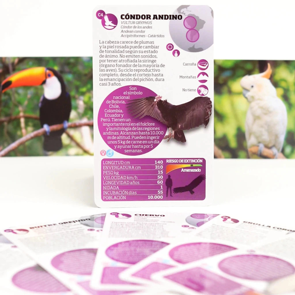 Enciclopedia Luminias – Aves