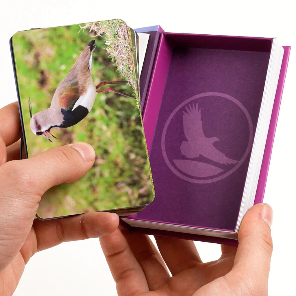 Enciclopedia Luminias – Aves