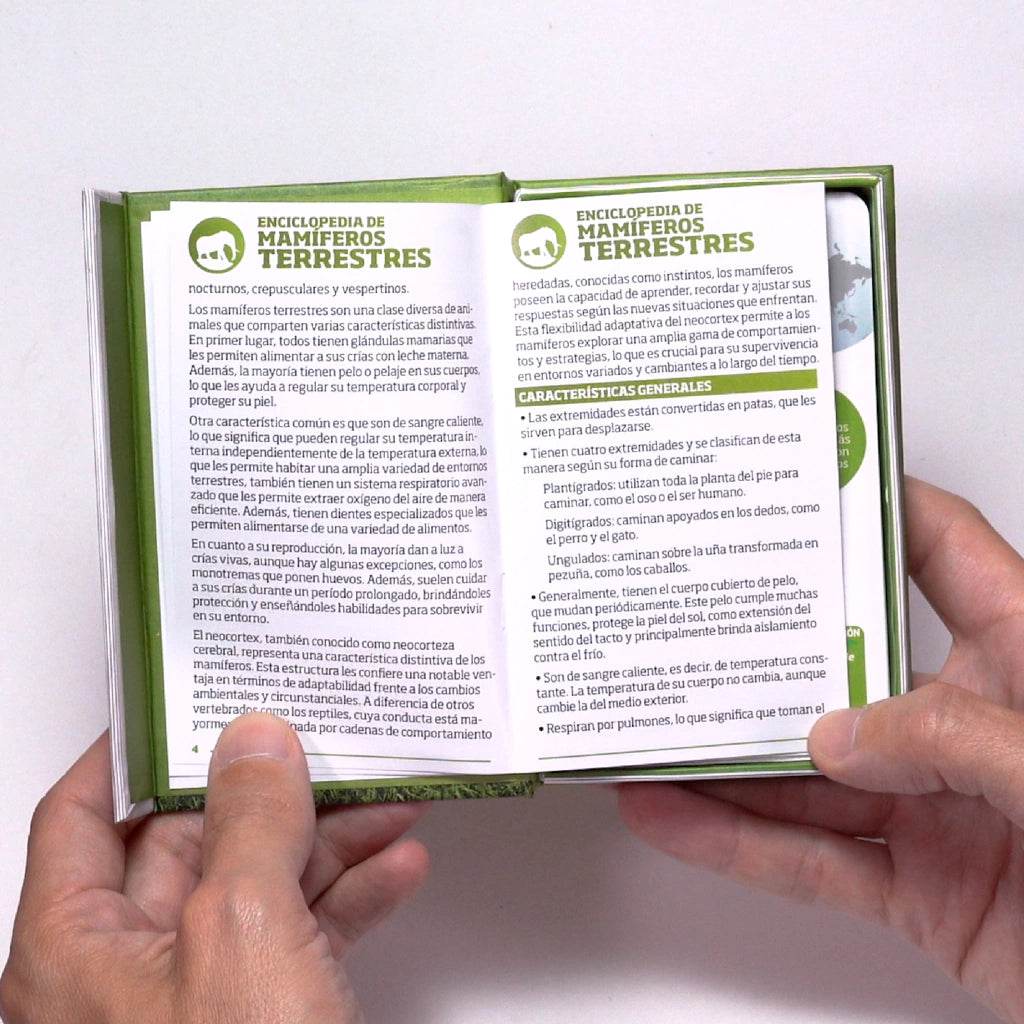 Enciclopedia Luminias – Mamíferos Terrestres