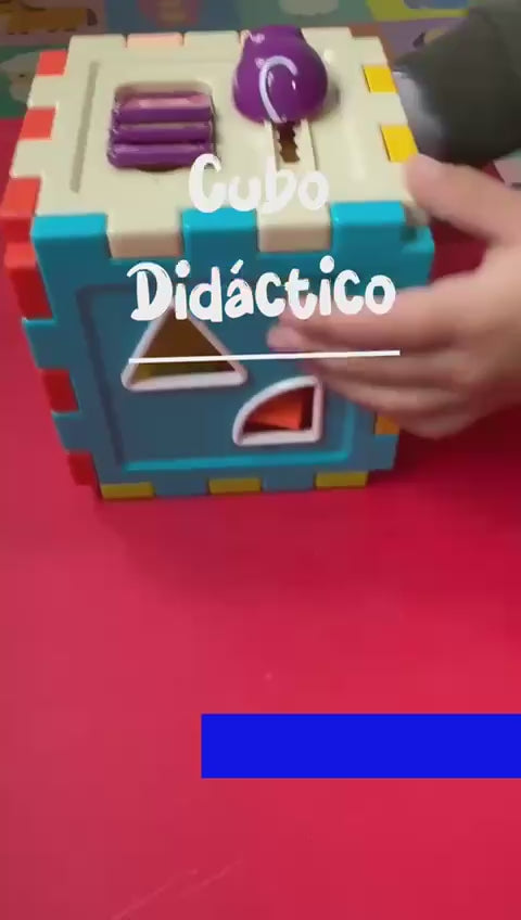 Cubo Didáctico